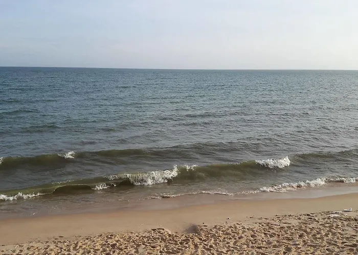 Ocean Front 3*